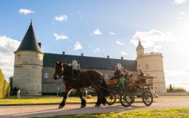 Tours du parc en calèche